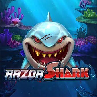 Razor Shark Jackpots Port Evaluation